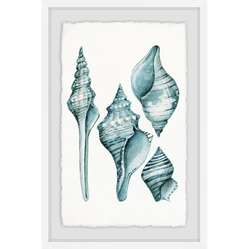 « arctique-coquillages », reproduction encadrée, H 24 po x l 16 po x P 1,5 po