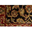 Wool Oriental Area Rug