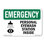Personal Eyewash Station Inside With Symbol Plastic Sign 14" X 10"