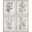 «Green Wildflowers Floral Botanical», ensemble de 4 reproductions de cadres photo simples-97782264-97782267