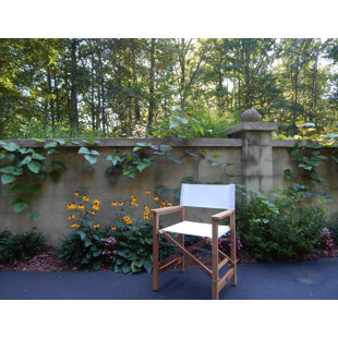 Folding Director Chair