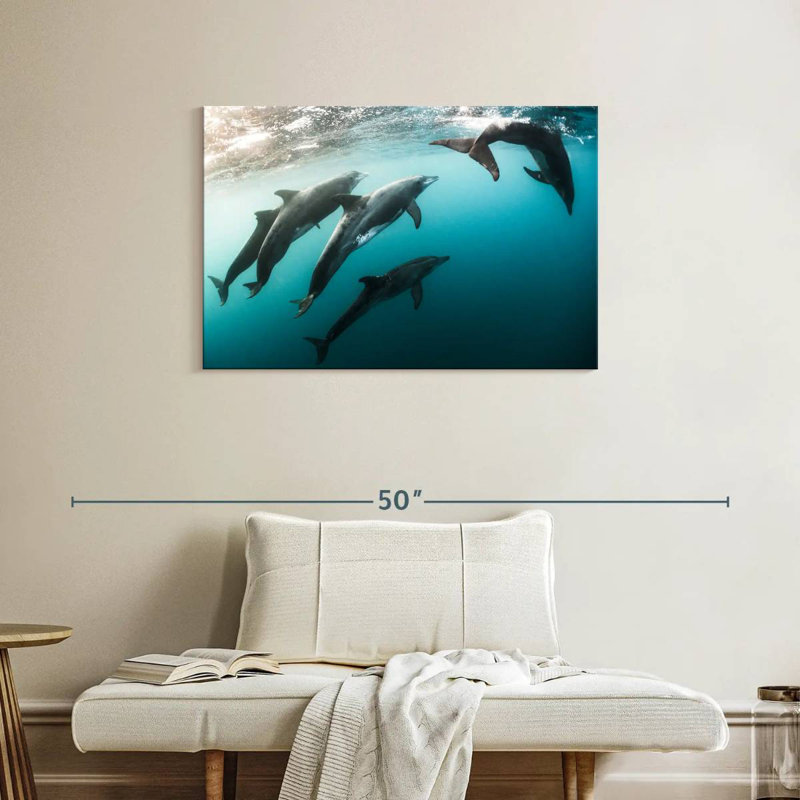 Brampt Dolphin Playmates, 24" H x 36" W