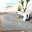Tapis intérieur / extérieur noir / beige Arneshia-22984114-130811939