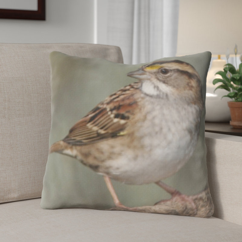Coussin décoratif "close up of little oiseau" Chrisman