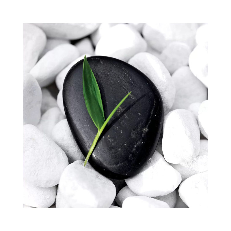 Zen Stone by PhotoINC Studio - Wrapped Canvas Print, 45.72 cm H x 45.72 cm W