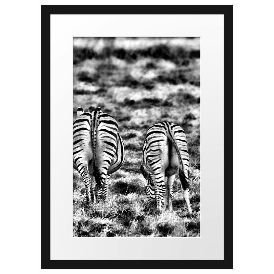 Gerahmtes Poster Zebras with White Birds