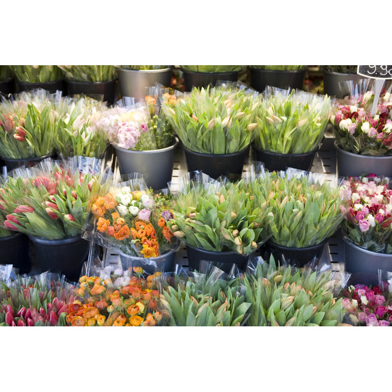 Outdoor flower market, 20cm H x 30cm W
