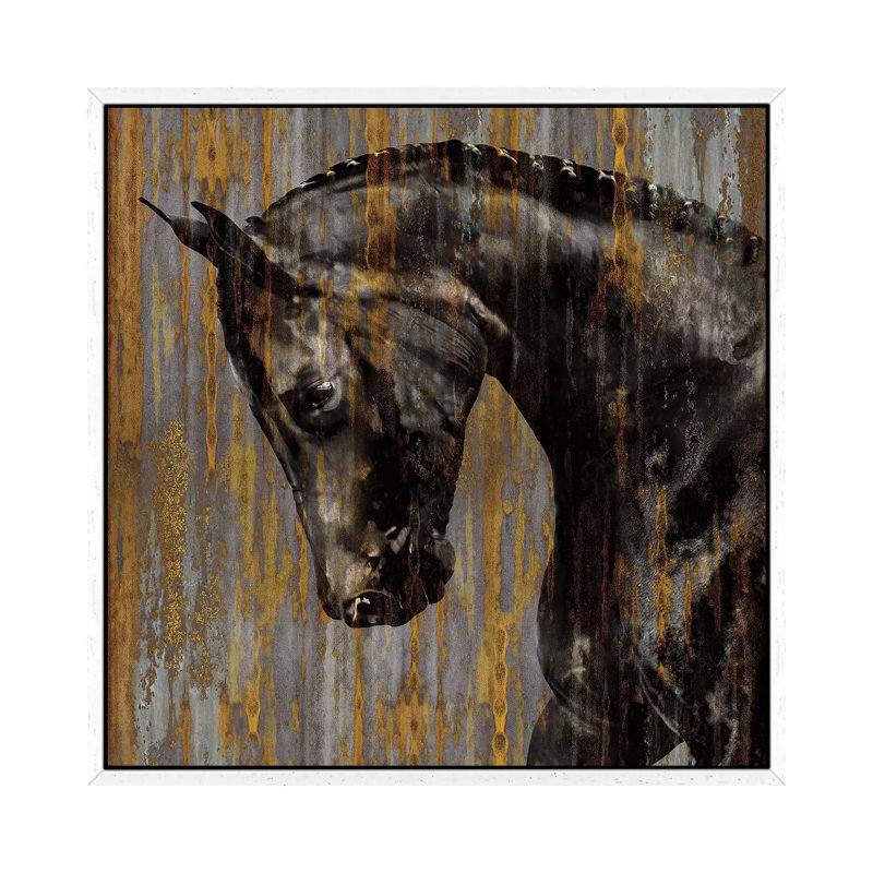 Horse I by Martin Rose - Gallery-Wrapped Canvas Giclée on Canvas, White Framed, 66.04 cm H x 66.04 cm W