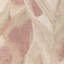 Caspia-296499625