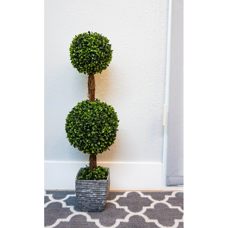 Double topiaire buis en pot en forme de boule de bureau