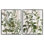 «Aged Botanical Leaves», ensemble de 2 giclées encadrées par Kim Allen