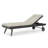 Ehrenfried Outdoor Rust-Resistant Metal Chaise Lounge Set , Sunbrella Cushion Included-87785813