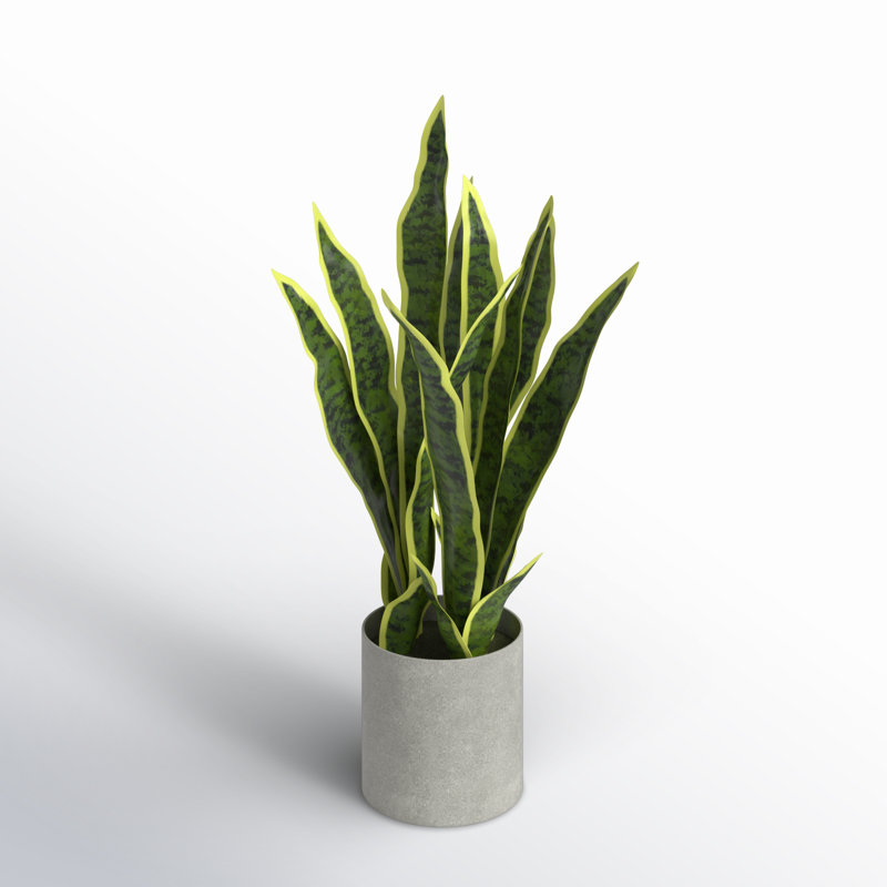 Artificial Sansevieria Snake Plant in Pot, 18'' H x 9'' W x 6'' D