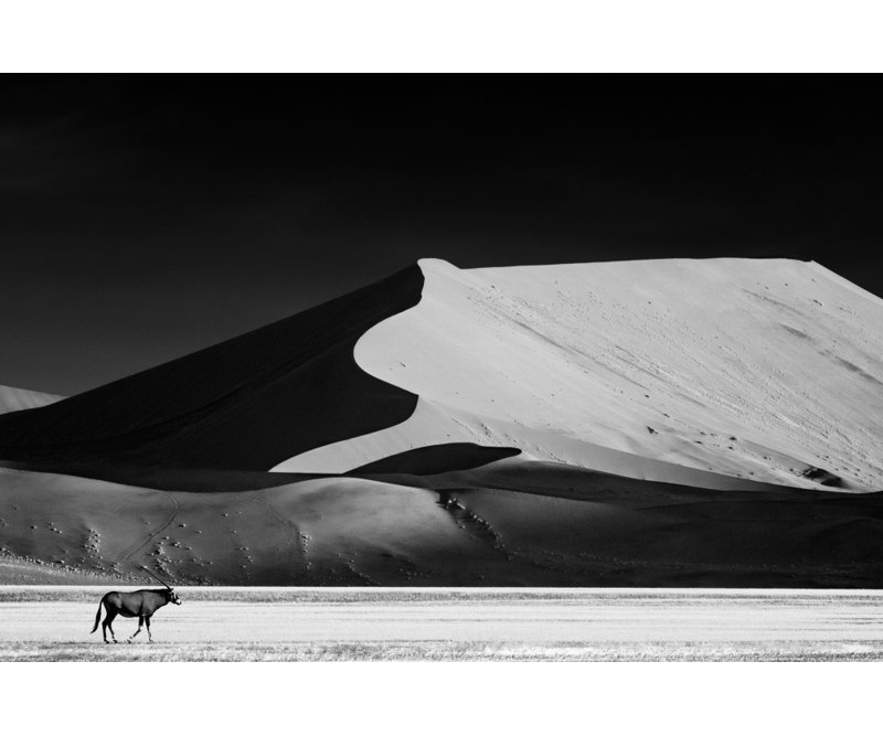 Wrapped Canvas Print, 76.2 cm H x 50.8 cm W