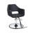 Remsen Faux Leather Salon Styling Chair-272034268