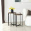 Alyisa Coffee Table