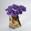 Large - Amethyst Clustered Gemstone Tree On Citrine Matrix (The Empowerment Tree)