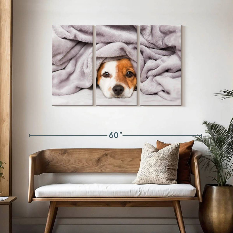 Couverture pour chien Brampt, H 28 po x l 45 po