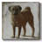 " Pug "-719647192