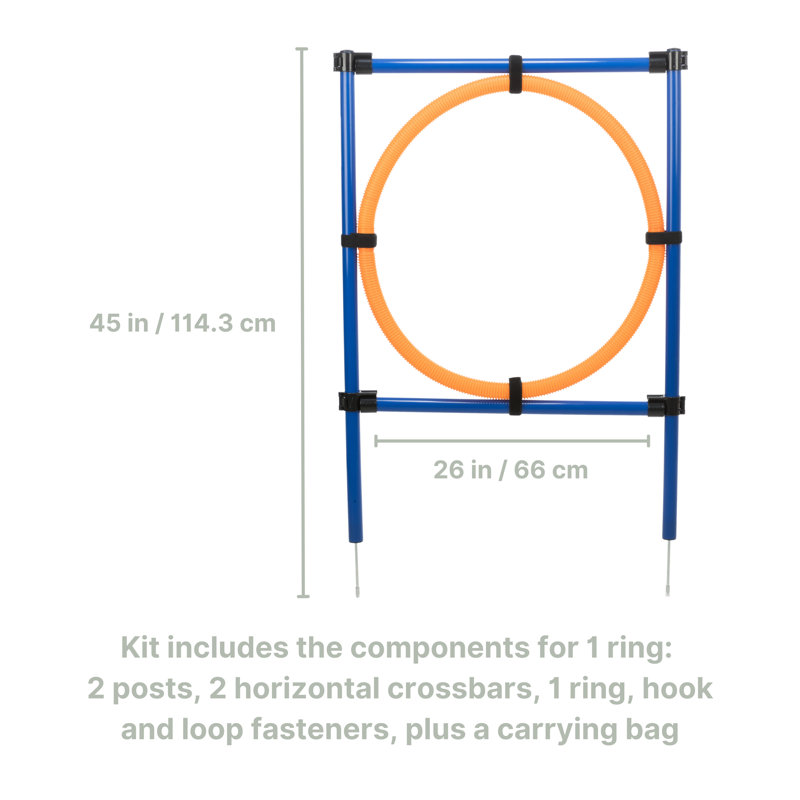 Adjustable Blue and Orange Dog Agility Training Ring