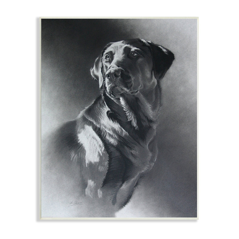 Gris anthracite, portrait de chien Labrador, H 19 po x l 13 po x P 0,5 po, Plaque murale