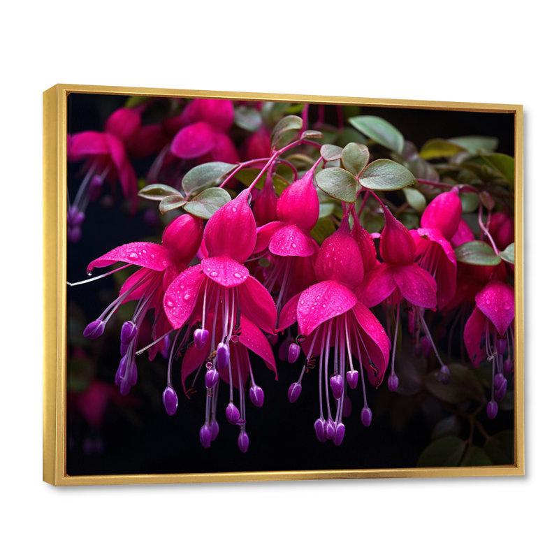 Fuchsia vivace, fleurs II, art mural floral, salon, H 30 po x l 40 po x P 1,5 po, Cadre flottant doré