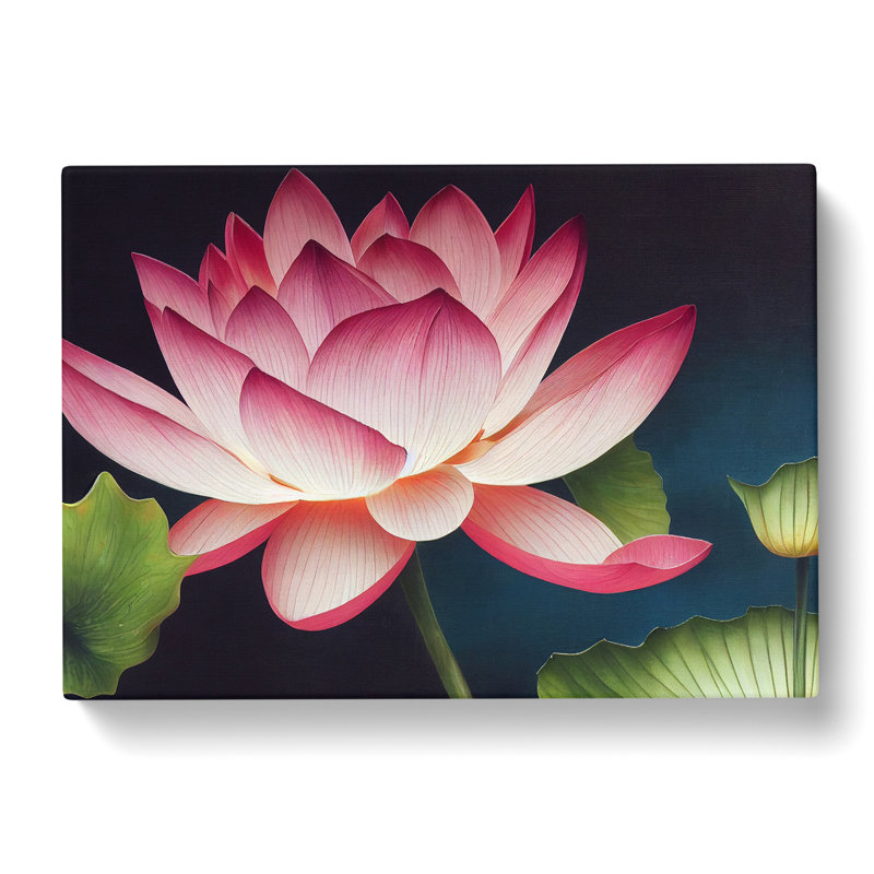 Stunning Lotus Flower - Wrapped Canvas, 35cm H x 50cm W x 3cm D