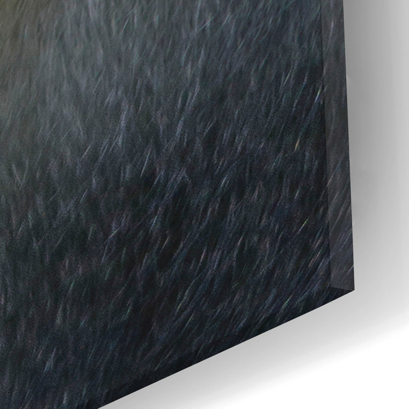 " Mandrill 2 " by SD Smart, 24" H x 16" W x 0.2" D