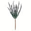 Vaporisateur artificiel Haworthia