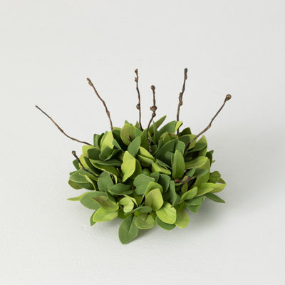 Hufnagel Ruscus Leafy Twig Arrangement