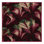 Washable Radicchio Vegetables Area Rug
