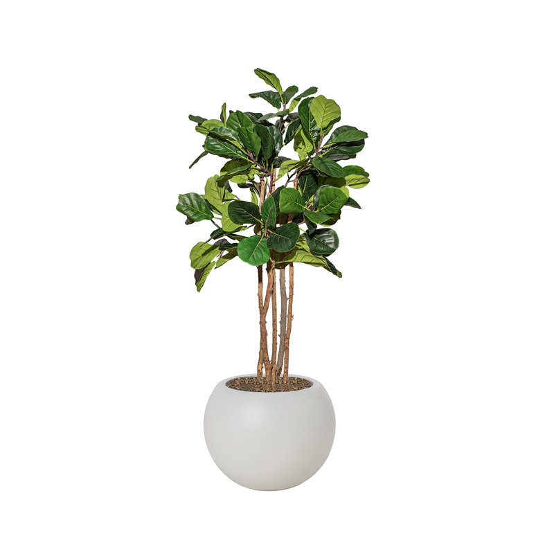 Arbre à figuier artificiel 68,75 po dans un pot à fleurs blanc