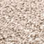Area Rug-1445169062