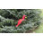 Esmeray Weather Resistant Plastic Animals Garden Art