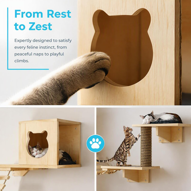Cat Wall Shelves Cat Perch