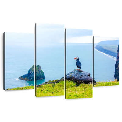 Puffin Standing On Cliff