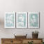 Silhouette Botanical I - Ensemble de 3 reproductions sur toiles tendues-1208695194