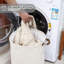 Canvas Laundry Cart