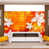 Orange/White