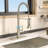 Mocoloo Pull Down Kitchen Faucet