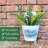 Samuels 19.7'' Faux Fern Plant