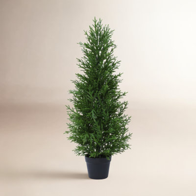 Adcock 60" Cedar Topiary in Pot
