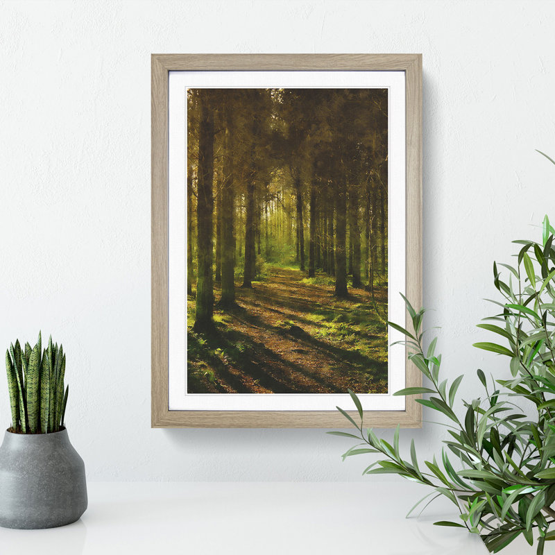 Sunlight Forest Vol.7 - Picture Frame Painting, 65cm H x 48cm W x 2cm D, Oak Framed