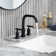 Widespread 2-handle Bathroom Faucet with Drain Assembly