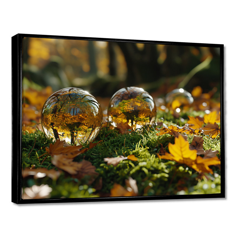 Waterdrops Reflecting Forest Light - Art abstrait paysage mural, Cadre flottant noir, H 12 po x l 20 po