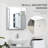 Woolsey Surface Mount Frameless 1 Door Medicine Cabinet-476247004