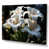 Toile tendue