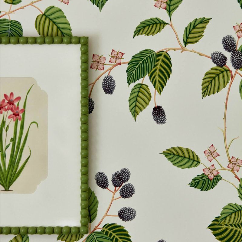 Rubus Wallpaper, Blackberry
