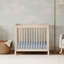 Gelato 4-in-1 Mini Convertible Crib-535825875