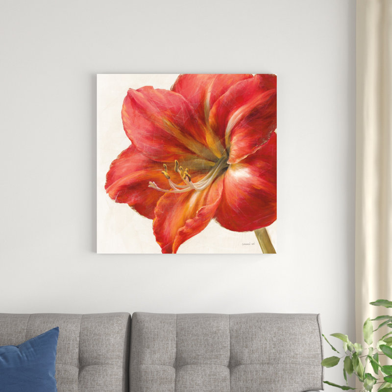 Amaryllis vif, H 30 po x l 30 po x P 1,25 po